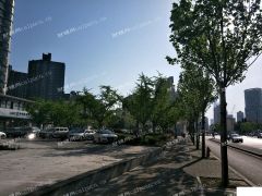 洋泾 急租浦东大道苗圃路路口超大展示临街商铺