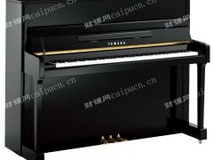 (急-个人)高端钢琴公司整体转让&mdash;中介勿扰