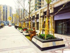 恒大名都住宅底商两层楼上可住人，有独立卫生间的商铺