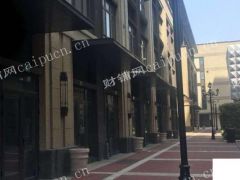 泗泾地铁站商场外街店铺出租