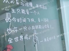 嘉定区永盛路新装修宠物店转让