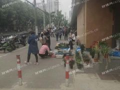  旺铺出租，重餐饮除外其他不限
