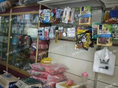 闵行梅陇盈利中的宠物店转让