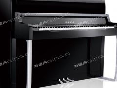 个人&mdash;静安年盈利80万琴行转让