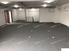 新装修大面积办公楼出租