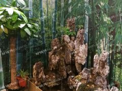 美陈广场华东最大鲜花批发市场一楼商铺