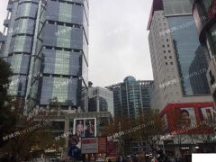  陆家嘴核心地段，房东直租一万