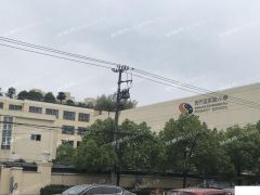  小学初中对面教育培训招商 有执照文化类艺术类沿街旺铺