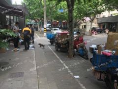 营业中超市转让，诚意转让，面谈
