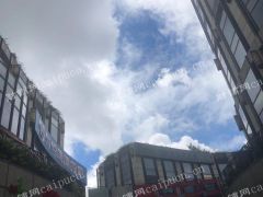 盈利中店铺转让非诚勿扰中介勿扰